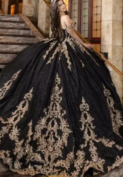 80041^LizLuo Quinceanera