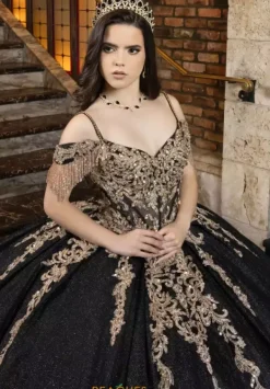 80041^LizLuo Quinceanera