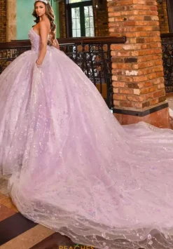 80026^LizLuo Quinceanera Outlet