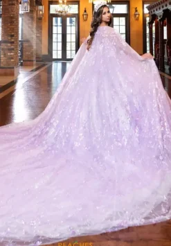 80026^LizLuo Quinceanera Outlet