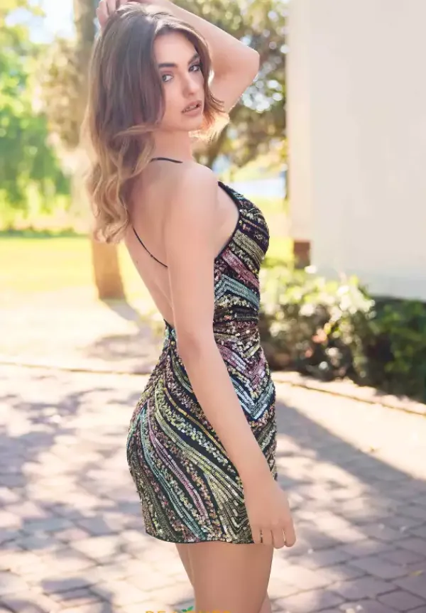 4422^Primavera Online