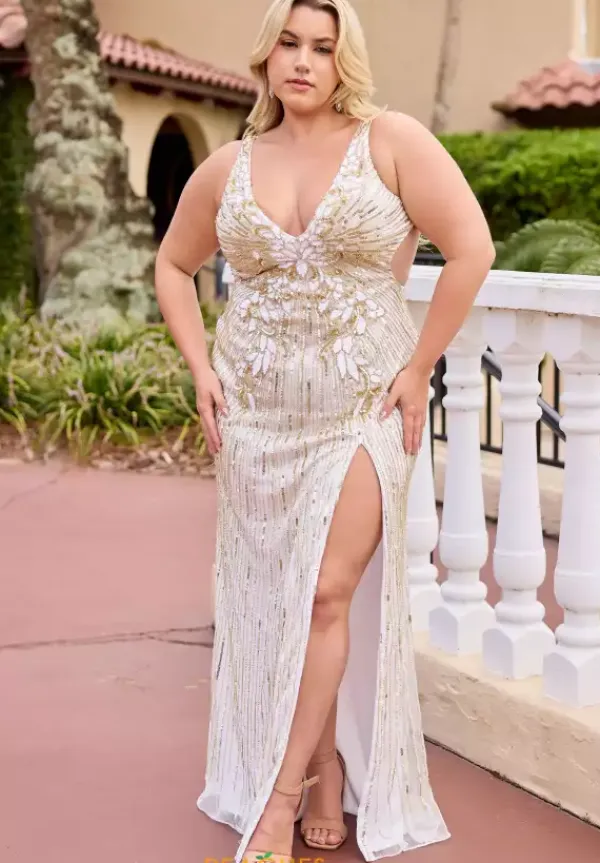 14104^Primavera Online