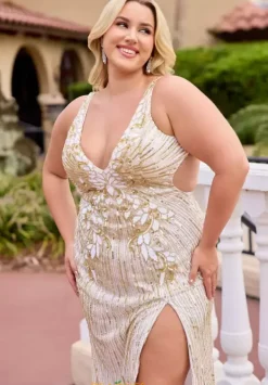 14104^Primavera Online