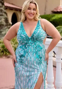 14104^Primavera Online