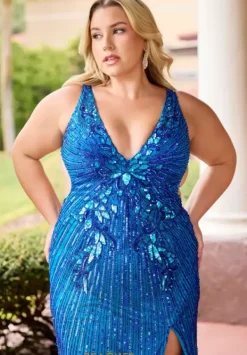 14104^Primavera Online