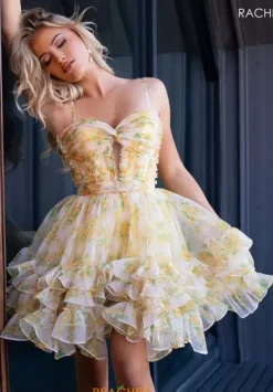 40490^Rachel Allan Discount