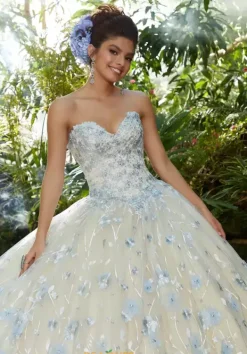 Quinceanera 34011^Vizcaya Online