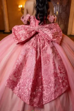 Quinceanera 4080032^Vizcaya