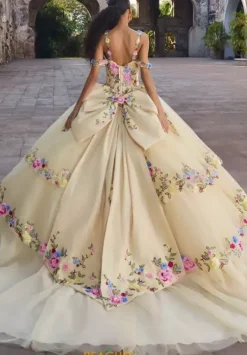 Quinceanera 89545^Vizcaya Hot