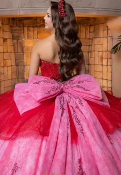 Quinceanera 4080005^Vizcaya Outlet