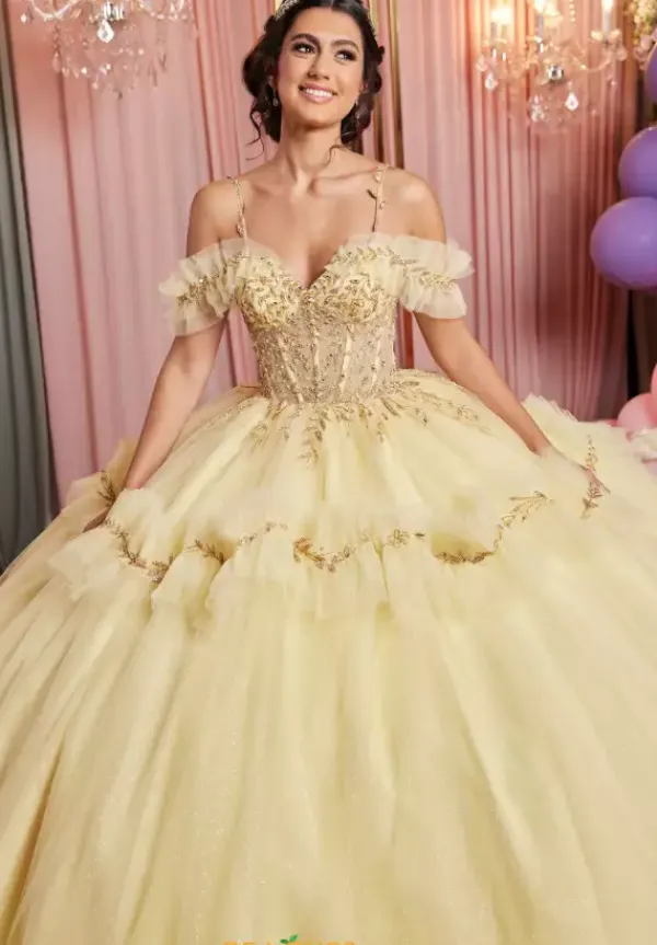 Quinceanera 89508^Vizcaya Best