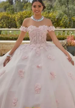 Quinceanera 60185^Vizcaya Online