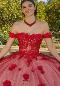 Quinceanera 60185^Vizcaya Online