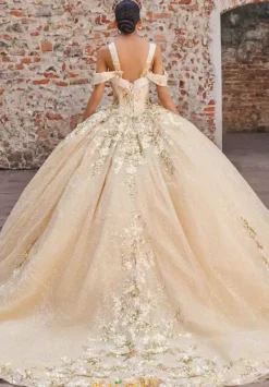 Quinceanera 89552^Vizcaya Best