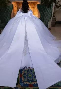 Quinceanera 4080008^Vizcaya Sale