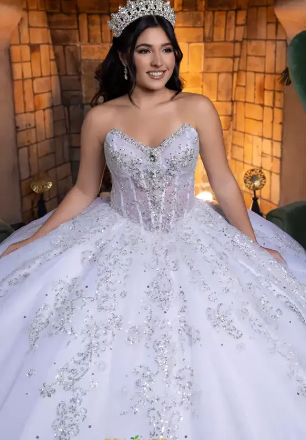 Quinceanera 4080008^Vizcaya Sale