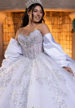 Quinceanera 4080008^Vizcaya Sale