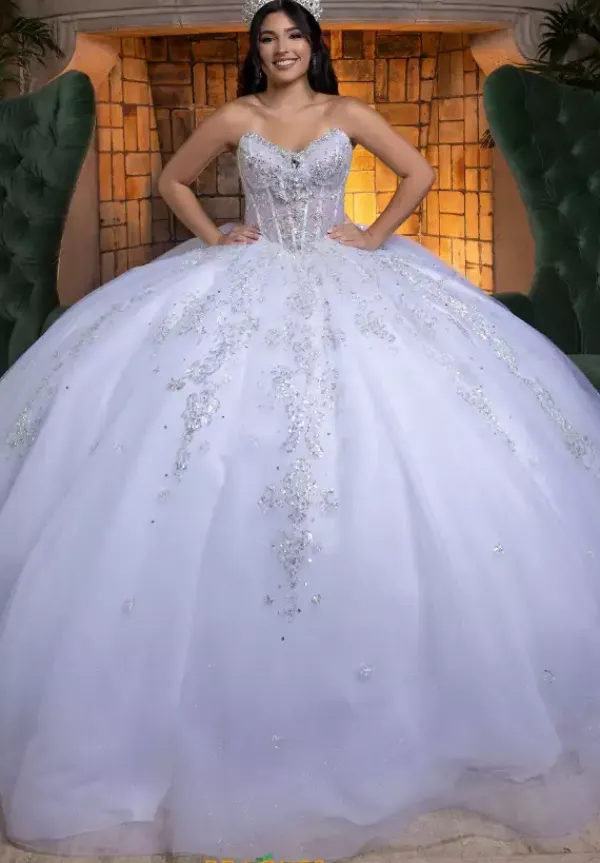 Quinceanera 4080008^Vizcaya Sale
