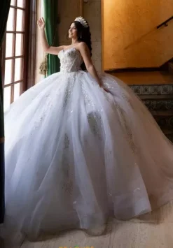 Quinceanera 4080008^Vizcaya Sale