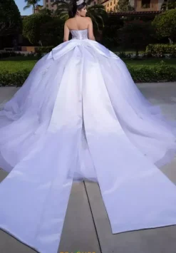 Quinceanera 4080008^Vizcaya Sale