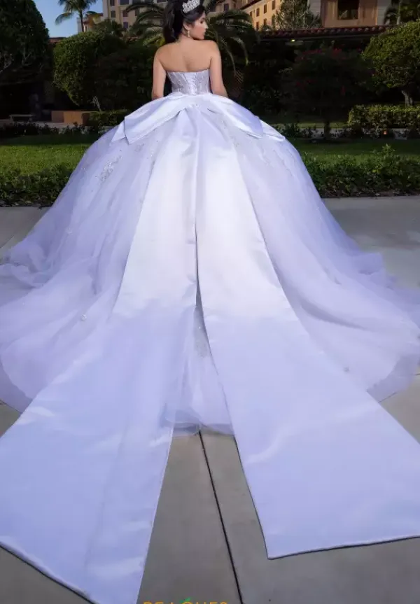 Quinceanera 4080008^Vizcaya Sale