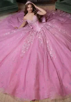 Quinceanera 4080029^Vizcaya Hot