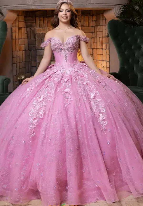 Quinceanera 4080029^Vizcaya Hot