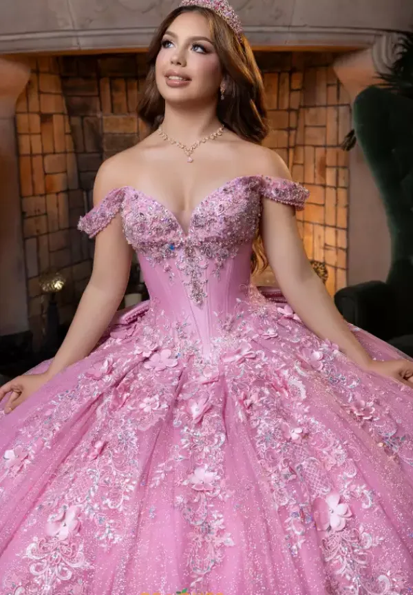 Quinceanera 4080029^Vizcaya Hot