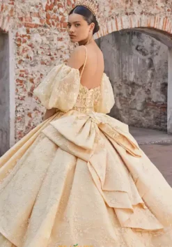 Quinceanera 89537^Vizcaya Online
