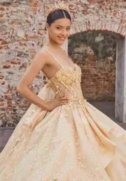 Quinceanera 89537^Vizcaya Online