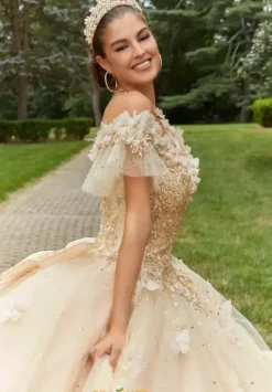 Quinceanera 89404^Vizcaya