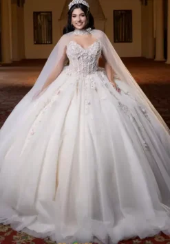 Quinceanera 4080023^Vizcaya Sale