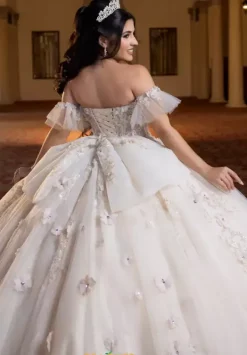 Quinceanera 4080023^Vizcaya Sale