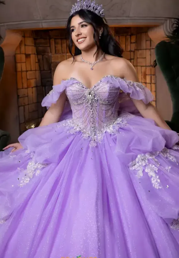 Quinceanera 4080014^Vizcaya Sale