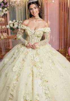 Quinceanera 89505^Vizcaya Online