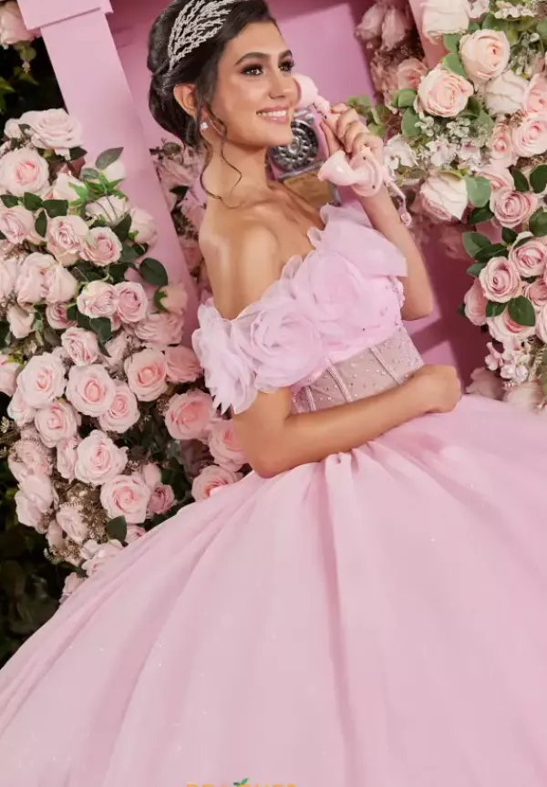 Quinceanera 89524^Vizcaya Online