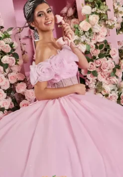 Quinceanera 89524^Vizcaya Online