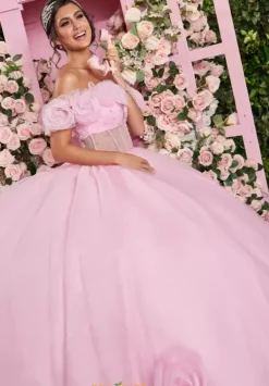 Quinceanera 89524^Vizcaya Online