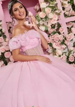 Quinceanera 89524^Vizcaya Online