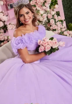 Quinceanera 89524^Vizcaya Online