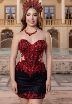 Quinceanera 4080000^Vizcaya Sale