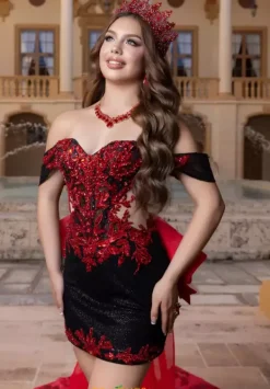 Quinceanera 4080000^Vizcaya Sale