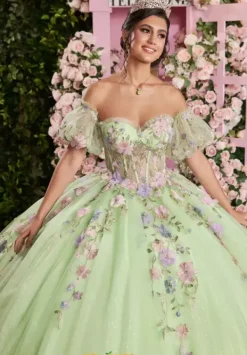 Quinceanera 89510^Vizcaya Online