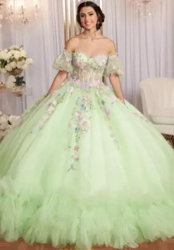 Quinceanera 89510^Vizcaya Online