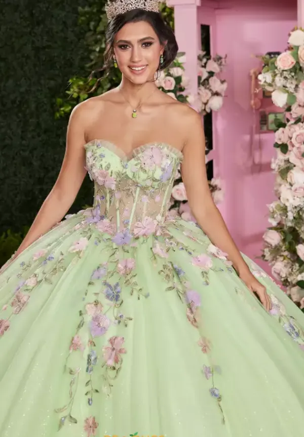 Quinceanera 89510^Vizcaya Online