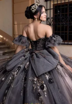 Quinceanera 4080022^Vizcaya Outlet