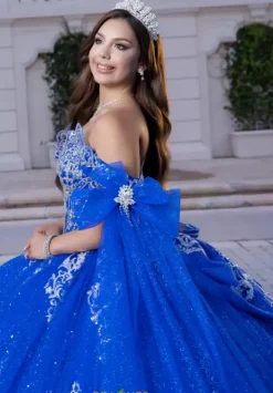 Quinceanera 4080028^Vizcaya Online