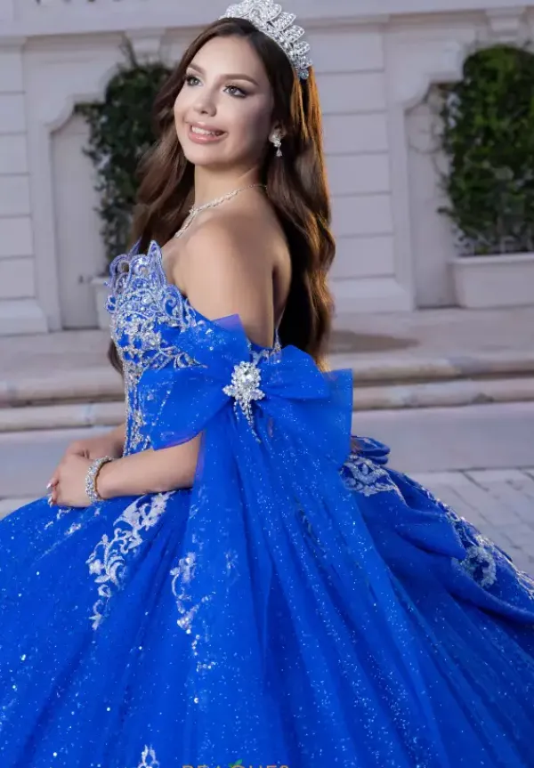 Quinceanera 4080028^Vizcaya Online