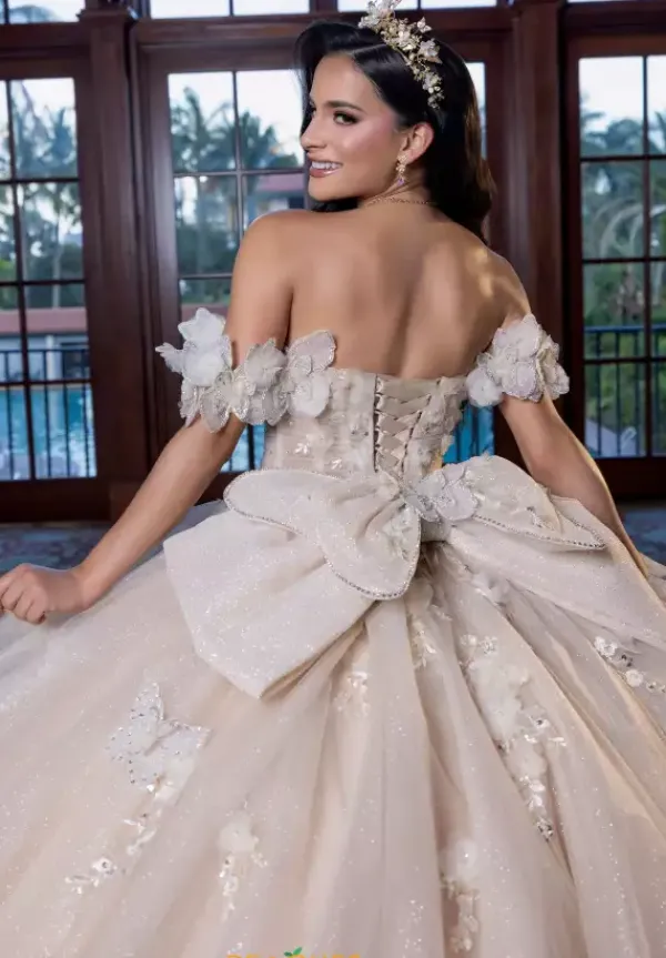 Quinceanera 4080017^Vizcaya Sale