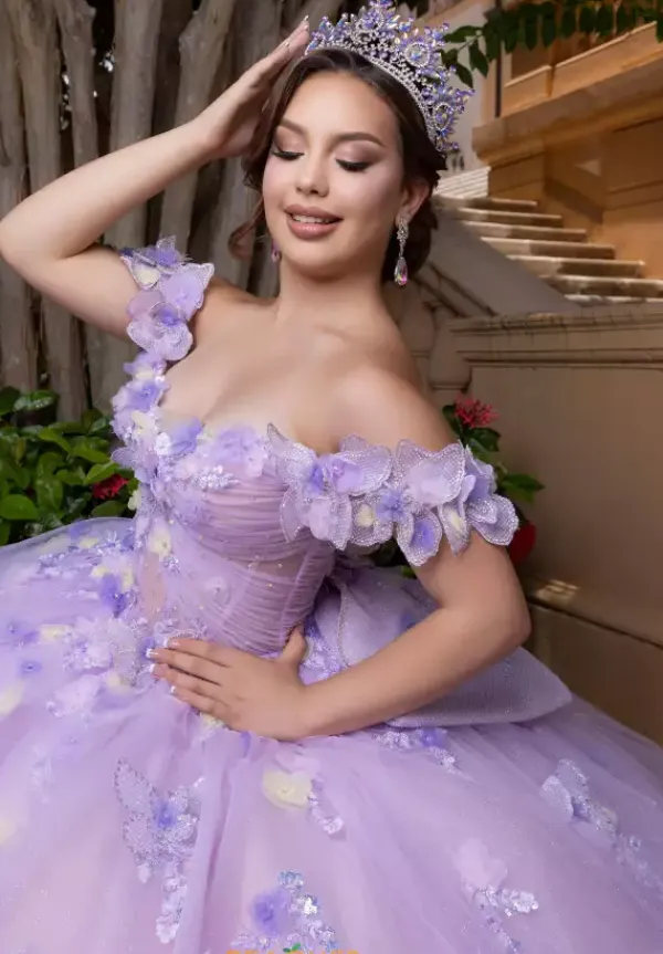 Quinceanera 4080017^Vizcaya Sale